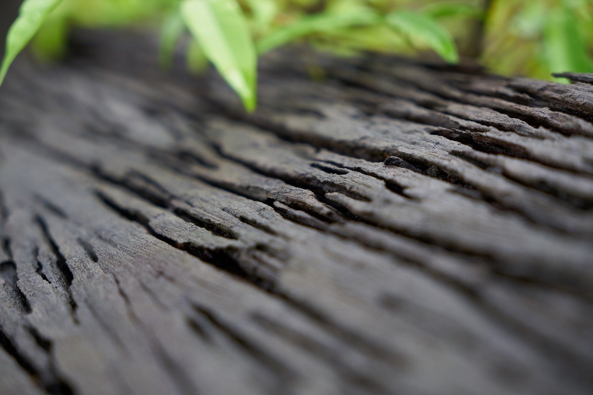 Biochar Products details gallery view - image 2