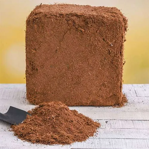 Premium Cocopeat (Coconut Coir Growing Medium) details gallery view - image 2